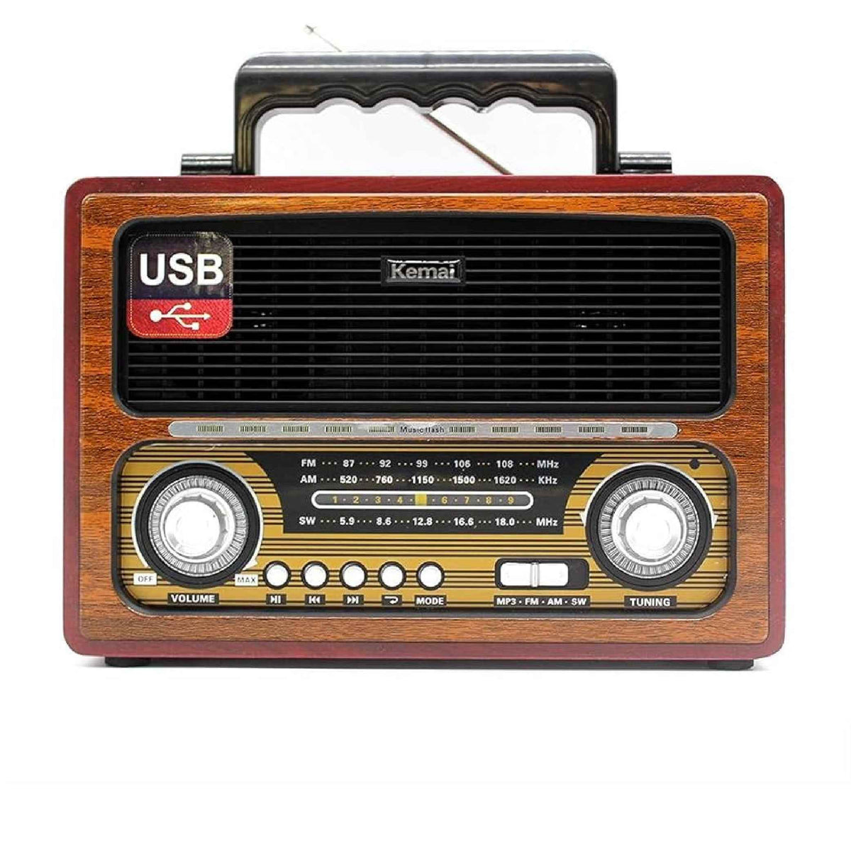 Portable Multi-Band Digital Radio with High- Power Speaker and Rechargeable Battery