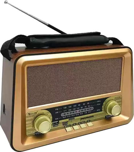 Bluetail FM Radio RX-BT1006 - Alqamarshop