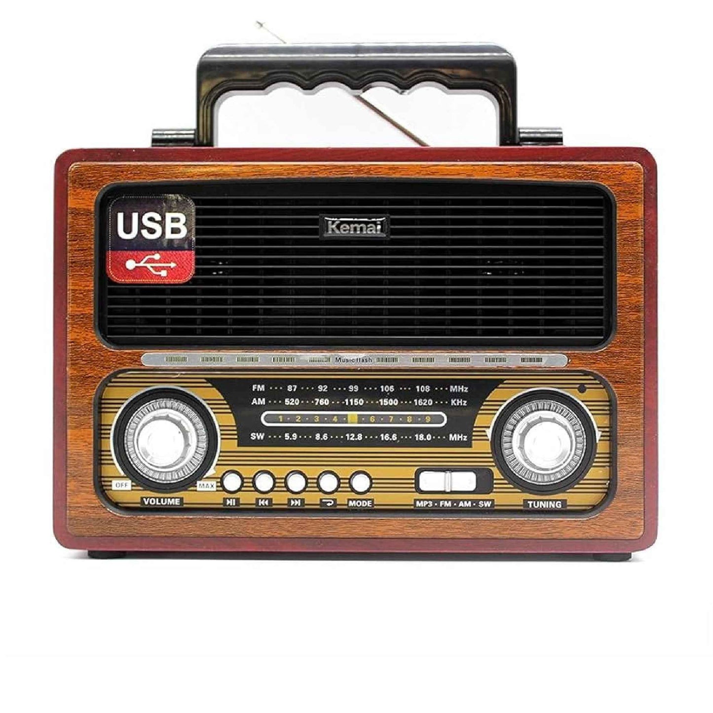 Portable Multi-Band Digital Radio with High- Power Speaker and Rechargeable Battery