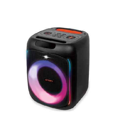 6.5 Inch Woofer Portable Stereo Sound System with MP3 Player, FM Radio, TF/USB Support (GY-801)