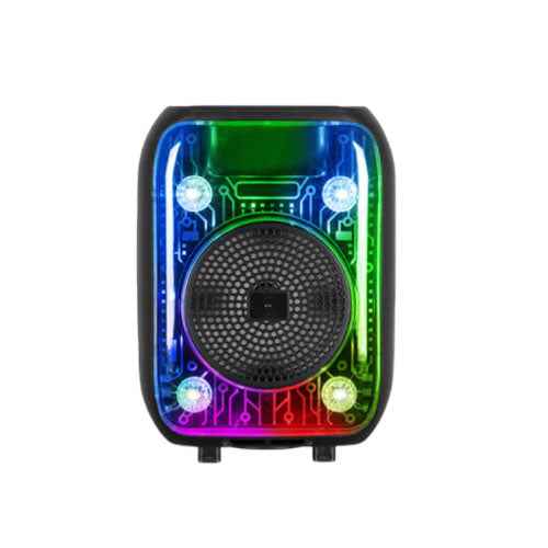 Portable Bluetooth Speaker AO-628 6.5 Inch Wireless Sound System with LED Lights and Mic Support
