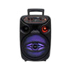 Rechargeable Speaker System 8 Inch AO-833Portable Bluetooth Speaker with Powerful Sound