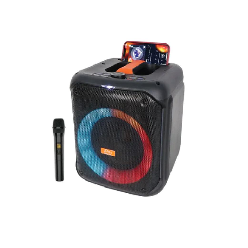 Sing-E ZQS8180 Mini Portable Karaoke Machine -Bluetooth Party Speaker with Wireless Microphone, RGB Lights & FM Radio
