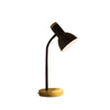 Creative Iron Table Lamp Modern Decorative Desk Light for Bedroom, Study, or Living Room (T20086)