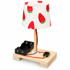 DIY Lamp Science Project Kit for School STEM