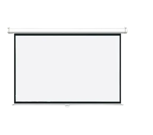 Projection Screen Manual Projection Screen 300 X 300 cm