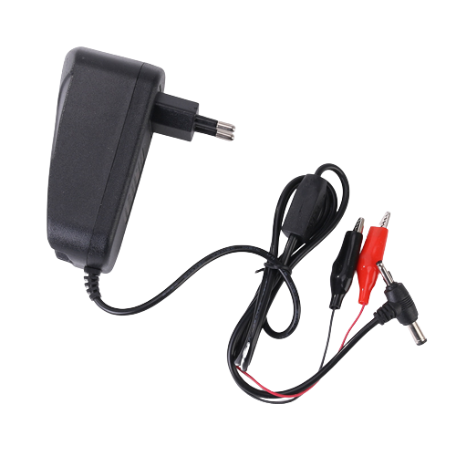 ANLIXUN Adjustable Charger 6-12V ALX-01