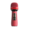 Wireless Bluetooth Compatible Handheld Microphone  Karaoke Double Speaker Condenser Mic Player Singing  For IOS Android Smart TV
