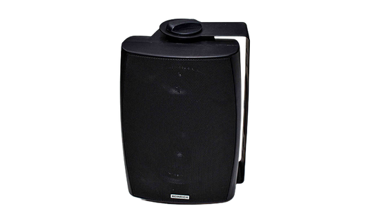 5 Core Wall Speaker 30W WS-30