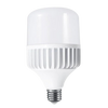 Aj Lighting Led Bulb 100w - Alqamarshop