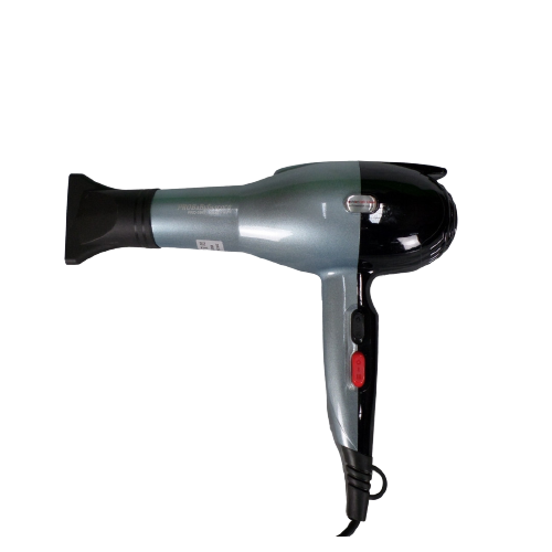 ProBabylisscoco Salon Professional Hair Dryer